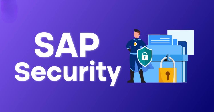 What Are The SAP Security Principles?