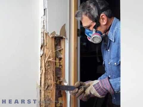 Termite Control in Edinburg, TX – Protect Your Home from Termite Damage