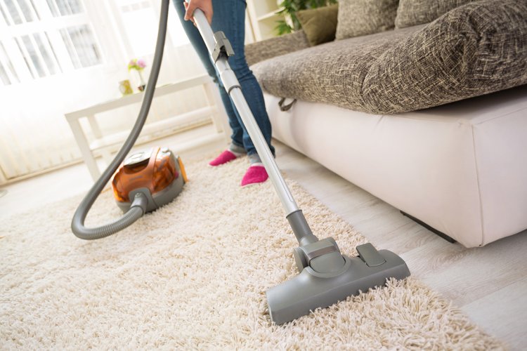 Carpet Cleaning Halifax: Professional & Affordable Carpet Care