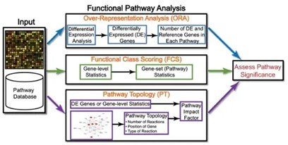 What is Gene Set Enrichment Analysis?