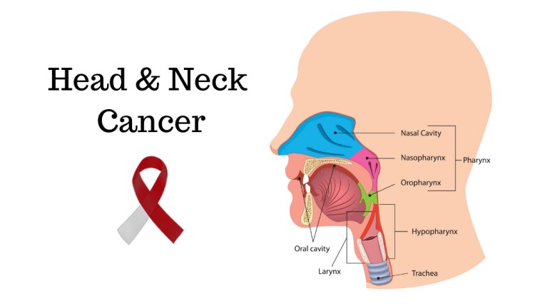 Head and Neck Cancer: Signs, Risk Factors, and Early Detection