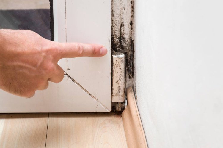 How To Remove Mold From Door Without Damaging?